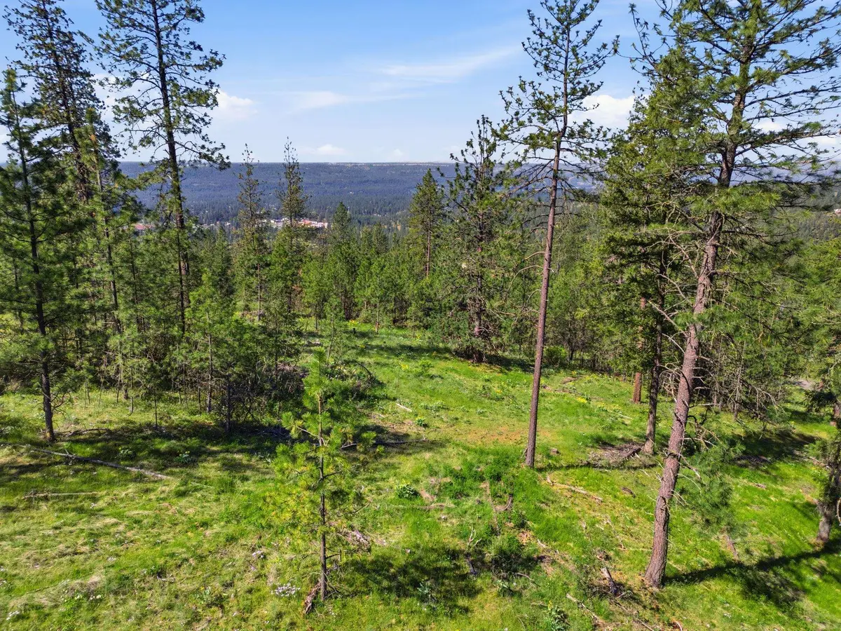 NKA Weaver Lot D & C Way, Deer Park, WA 99006 - #1