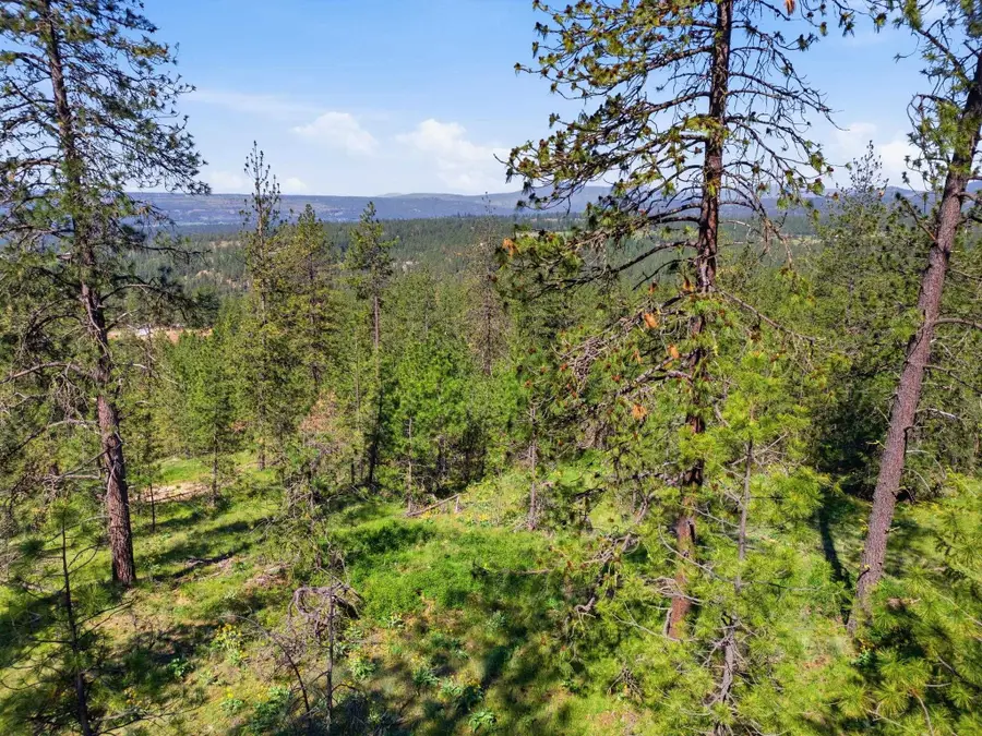 NKA Weaver Lot D & C Way, Deer Park, WA 99006 - #2