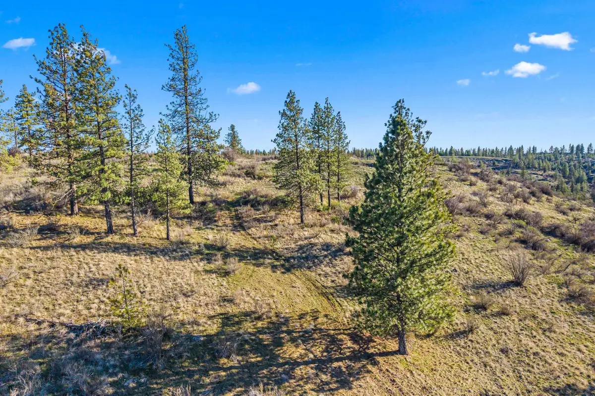 27220 E Underwood Canyon Rd, Creston, WA 99117 - #1