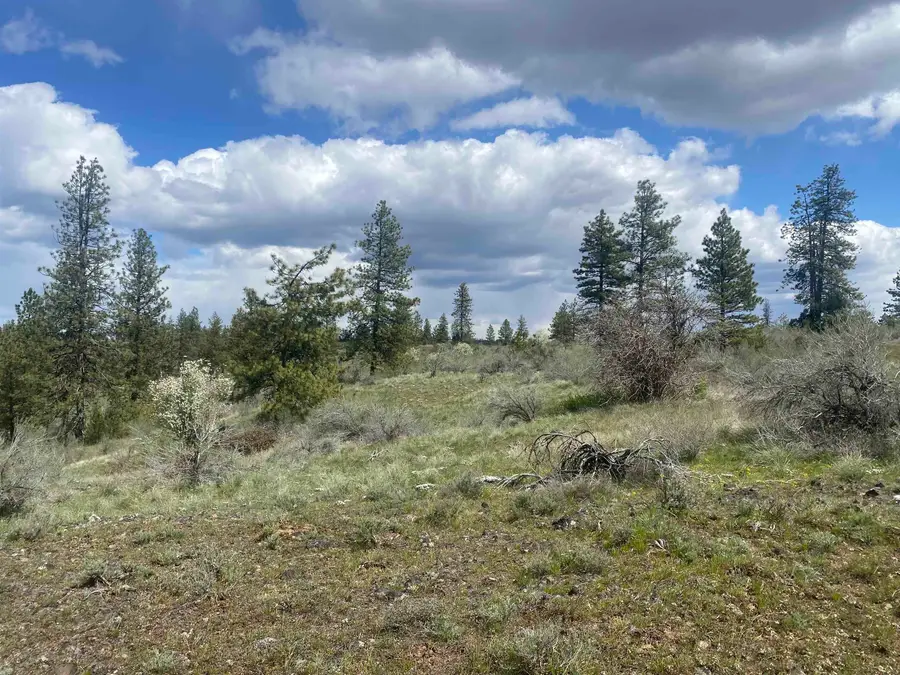 27220 E Underwood Canyon Rd, Creston, WA 99117 - #3