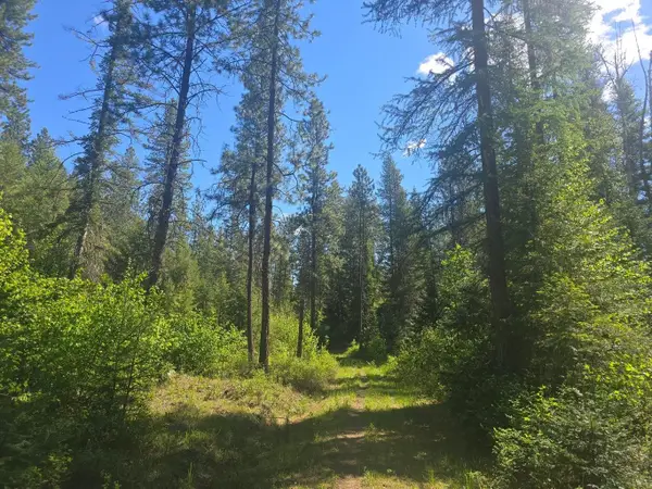 36XX Northport Flat Creek Rd, Kettle Falls, WA 99141-0000