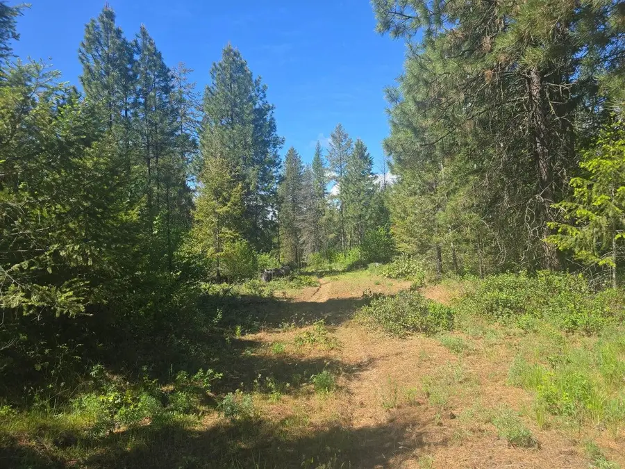 36XX Northport Flat Creek Rd, Kettle Falls, WA 99141-0000 - #3