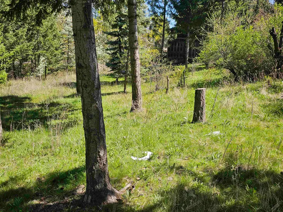 1001 S Haven St, Spokane, WA 99202 - #2