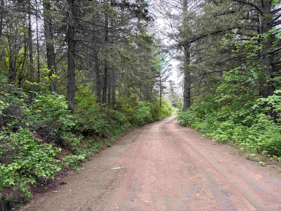 NKA Lookout Rd, Newport, WA 99156 - #3