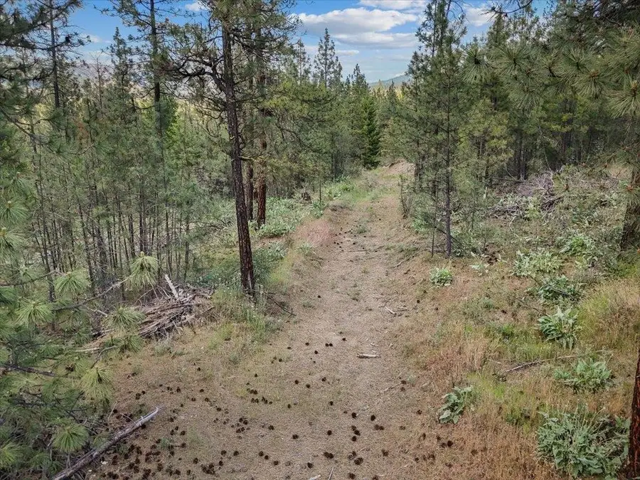 21XXX W South Bank Rd, Nine Mile Falls, WA 99026 - #3