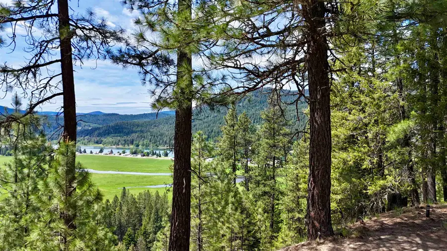 NKA Scenic Ln, Cusick, WA 99119 - #3