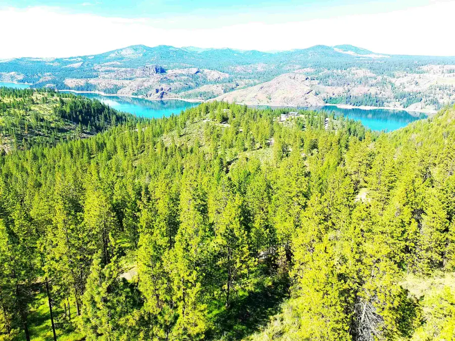 XX00 E Timber Bay Dr, Davenport, WA 99122 - #2