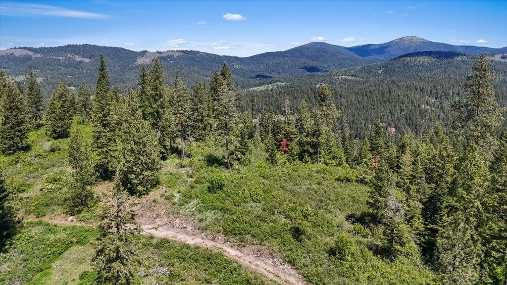 18xxx E Miner Rd, Mead, WA 99021 - #1