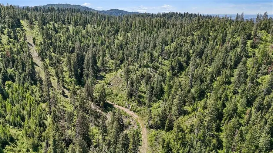 18xxx E Miner Rd, Mead, WA 99021 - #3