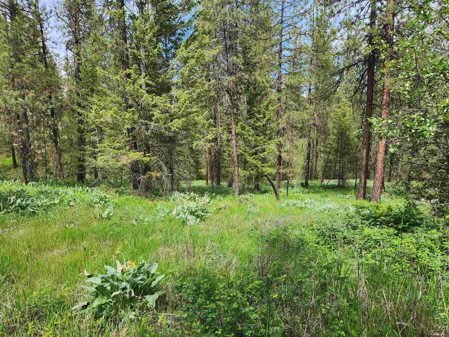 6269 Miller Mountain Rd, Fruitland, WA 99129 - #2