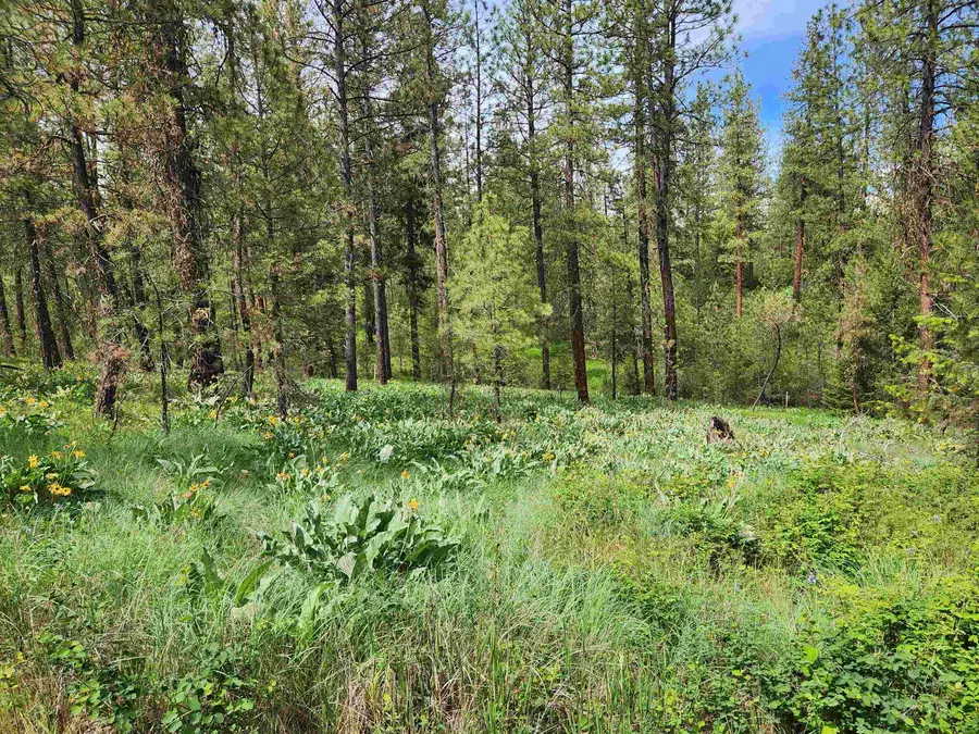 6269 Miller Mountain Rd, Fruitland, WA 99129 - #3