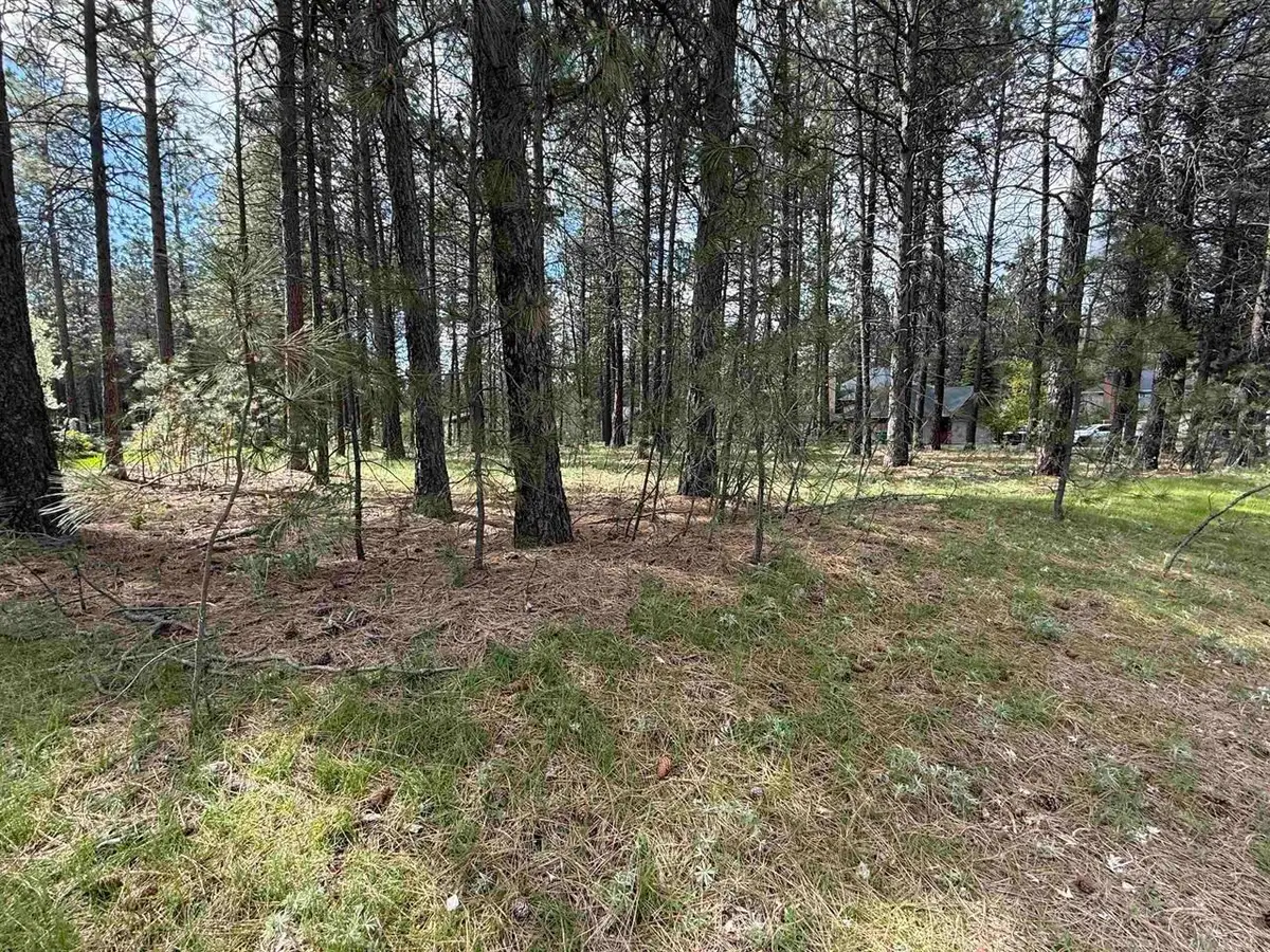 17XXX N Saddle Hill Rd, Colbert, WA 99005 - #1