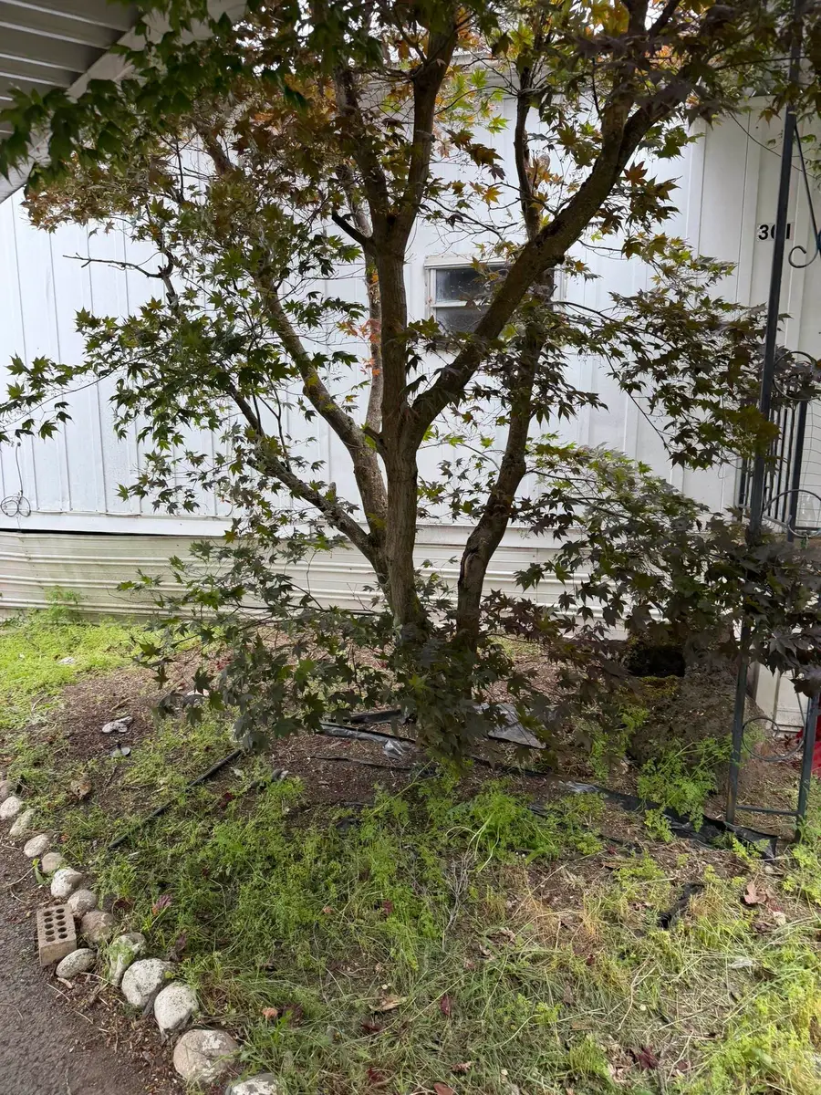 3231 W Boone #301 Ave, Spokane, WA 99201 - #3
