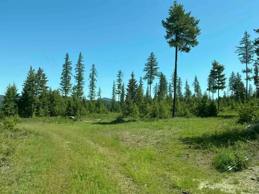 41706 N Elk Camden Rd, Elk, WA 99009 - #3