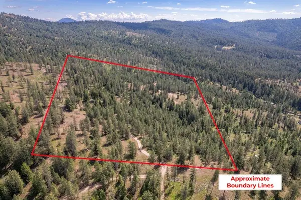 4589 Strange Way, Springdale, WA 99173