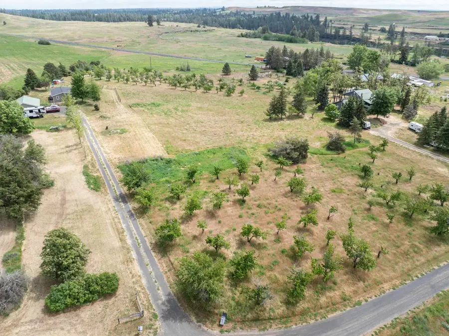 32917 S Williams Ave, Cheney, WA 99004 - #2