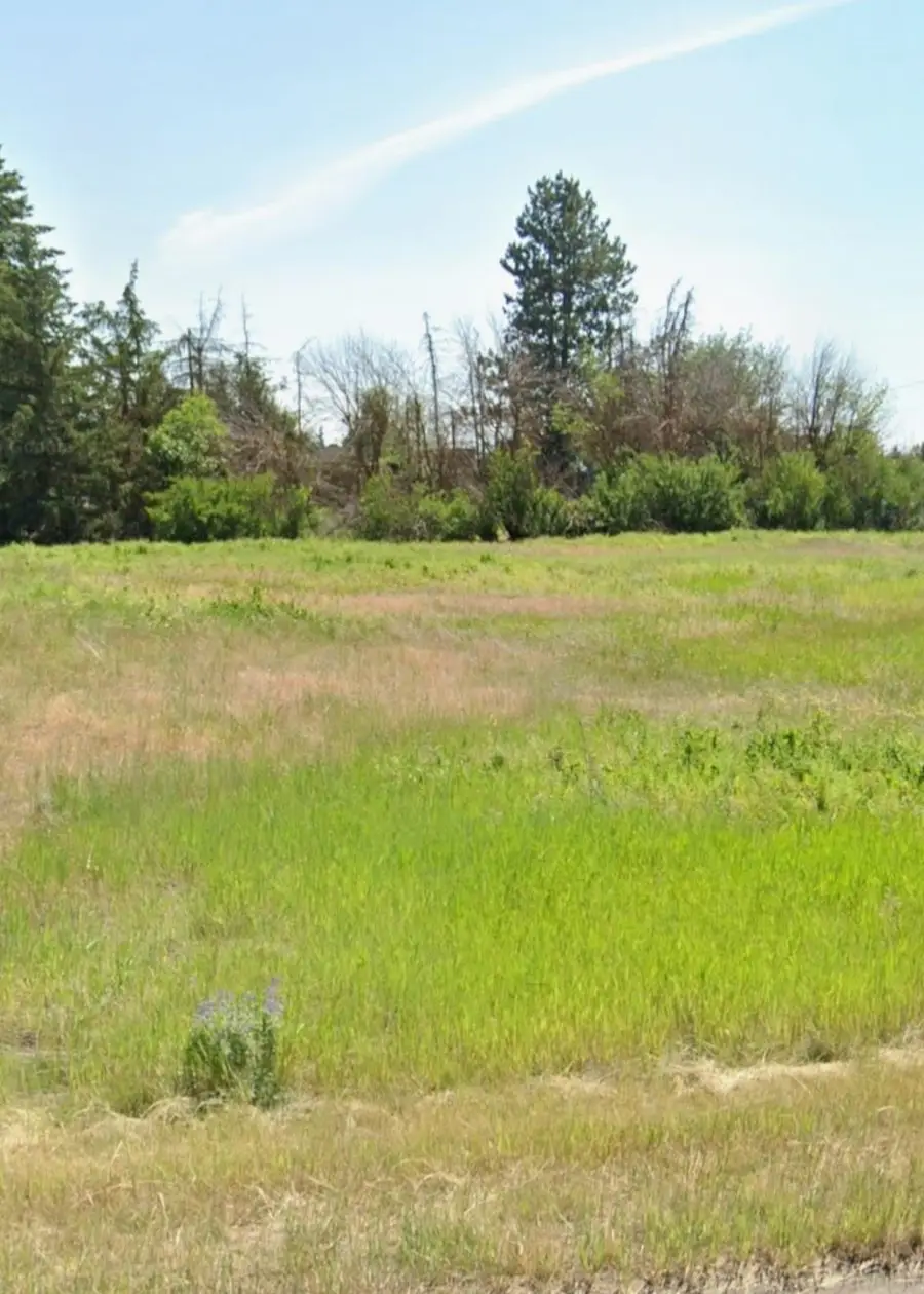 XXX 8th St, Davenport, WA 99122 - #2