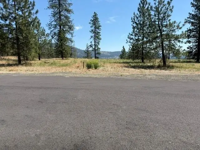 LOT 1 Long Lake Estates Way, Nine Mile Falls, WA 99026 - #2
