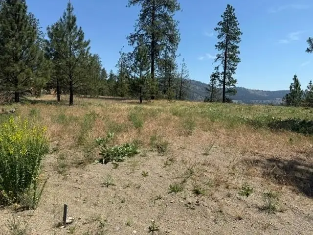 LOT 1 Long Lake Estates Way, Nine Mile Falls, WA 99026 - #3
