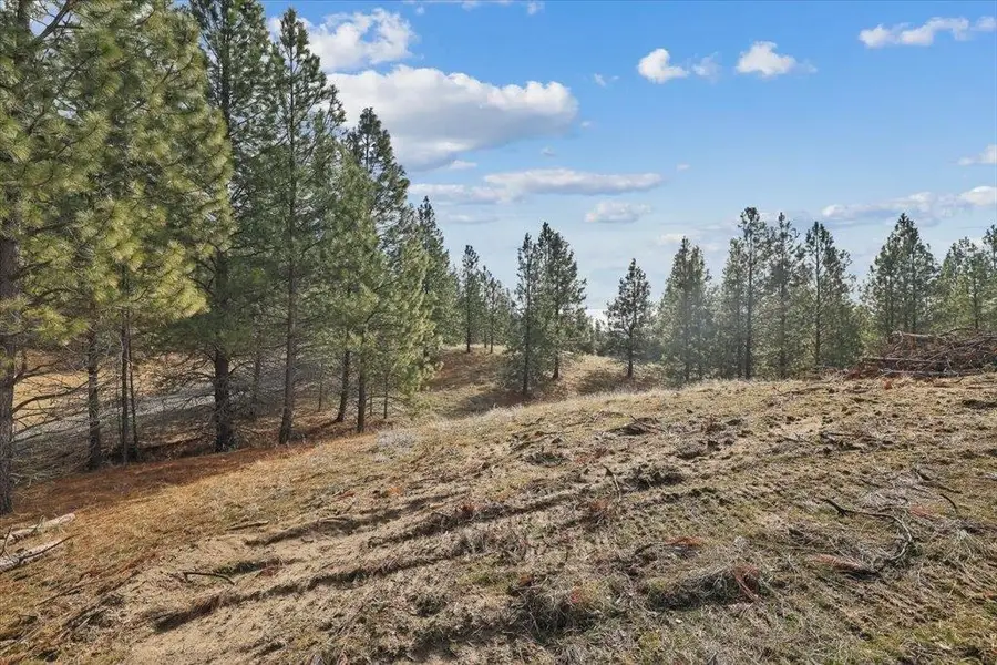 NKA Lower Weaver Way, Deer Park, WA 99006 - #3