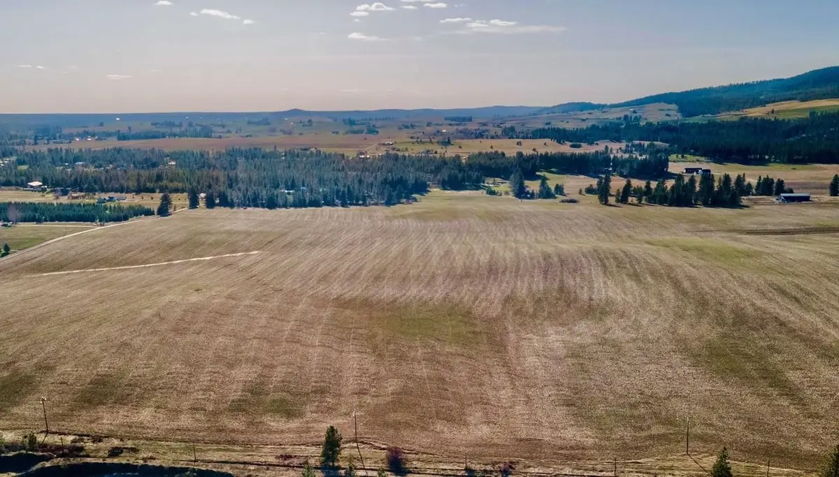 13505 E Gibbs Rd, Mica, WA 99023 - #1