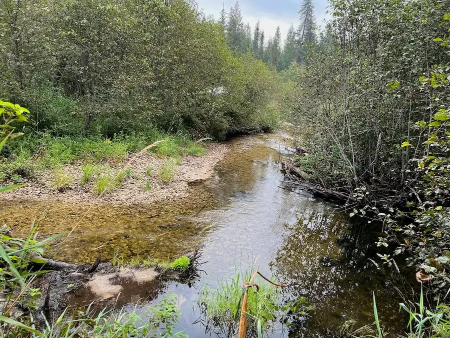 NKA Soggy Bottom Ln, Cusick, WA 99119 - #2