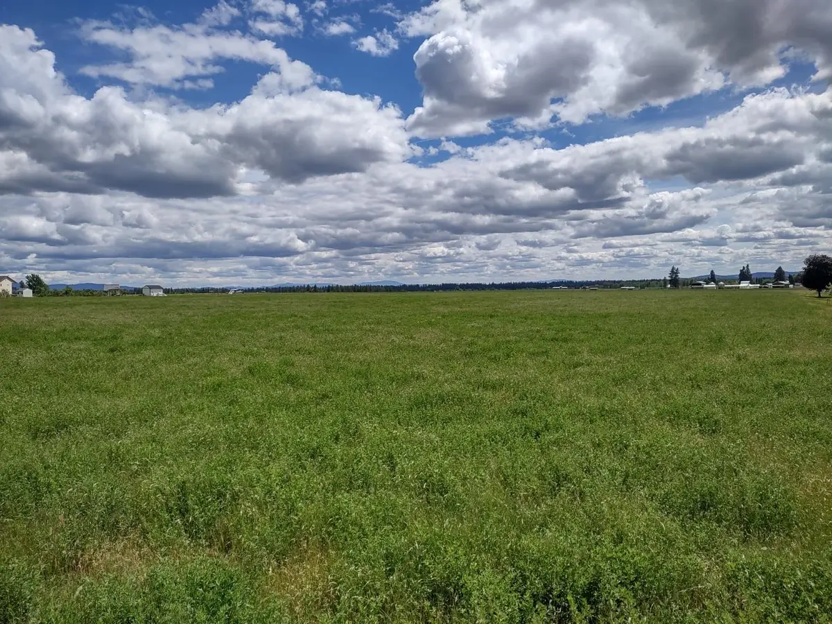 X Mason Rd, Deer Park, WA 99006 - #1