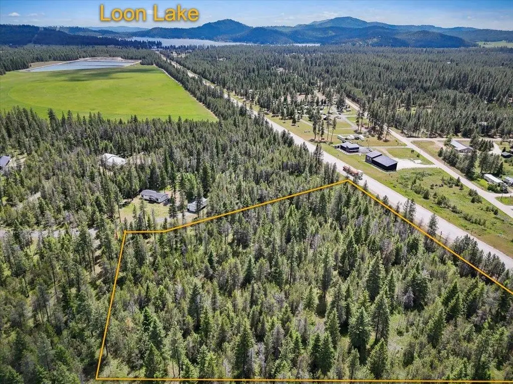 3834 Meadowlark Way, Loon Lake, WA 99148 - #1
