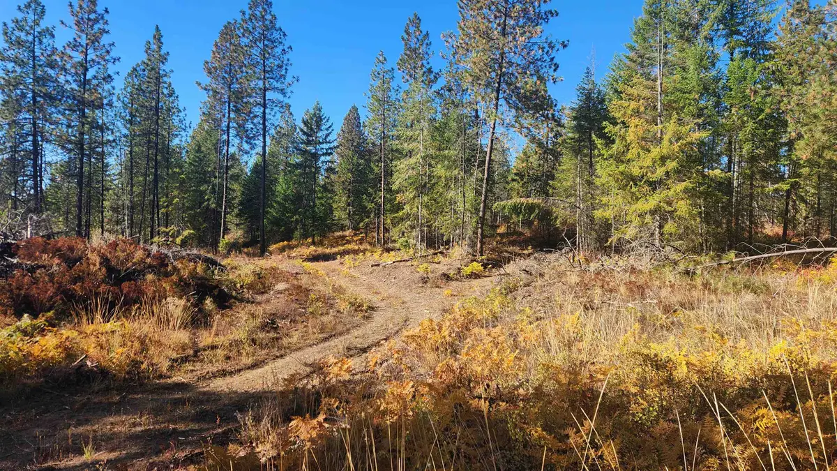 43xx Lyons Hill Rd, Springdale, WA 99173 - #1