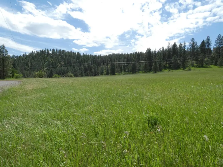 8309 W Jensen Rd, Cheney, WA 99004 - #2