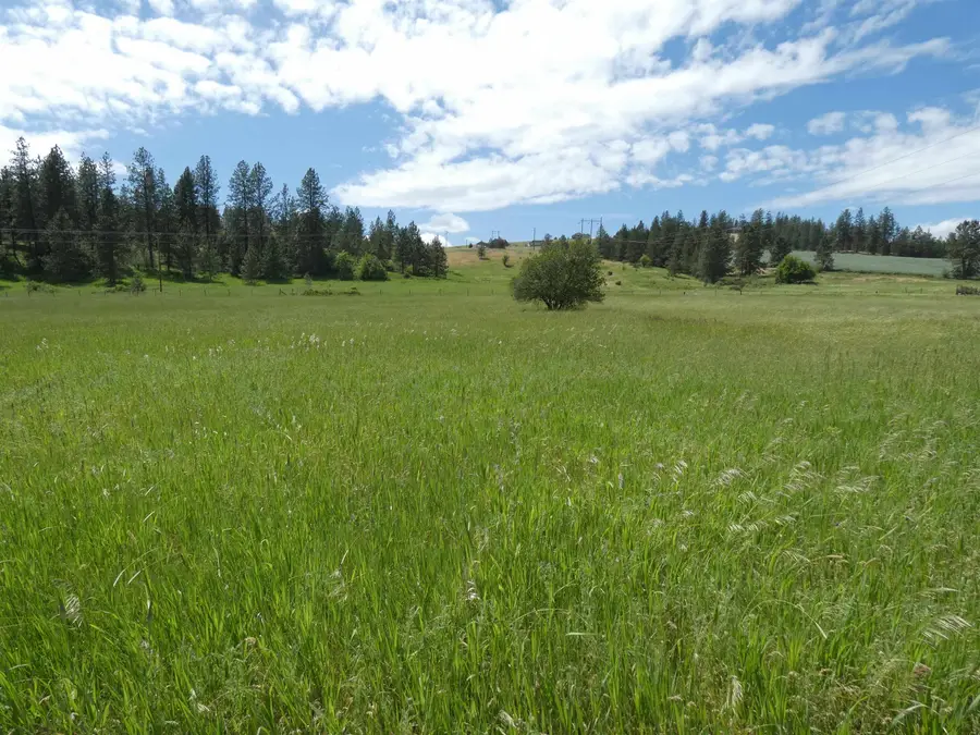 8309 W Jensen Rd, Cheney, WA 99004 - #3