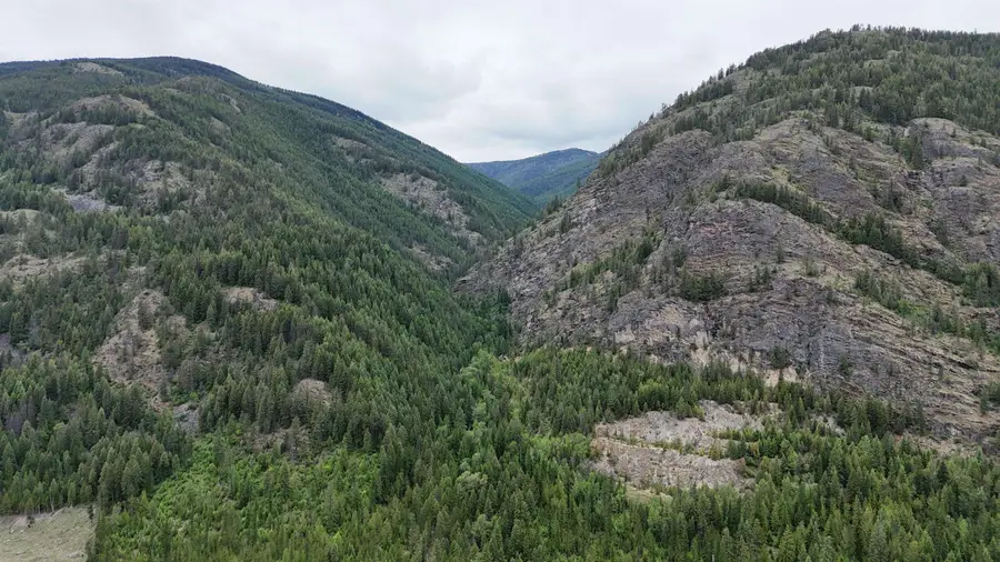 NKA Boundary Rd, Metaline Falls, WA 99153 - #3