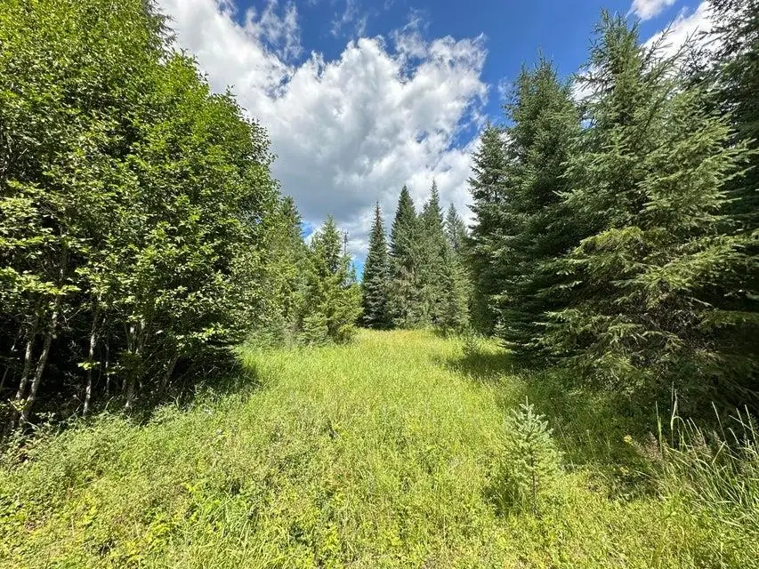 Address Withheld By Seller, Colville, WA 99114 - #2