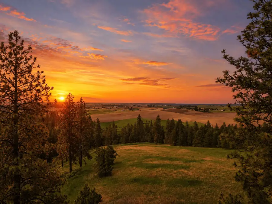 NNA S Sands Rd, Valleyford, WA 99036 - #3
