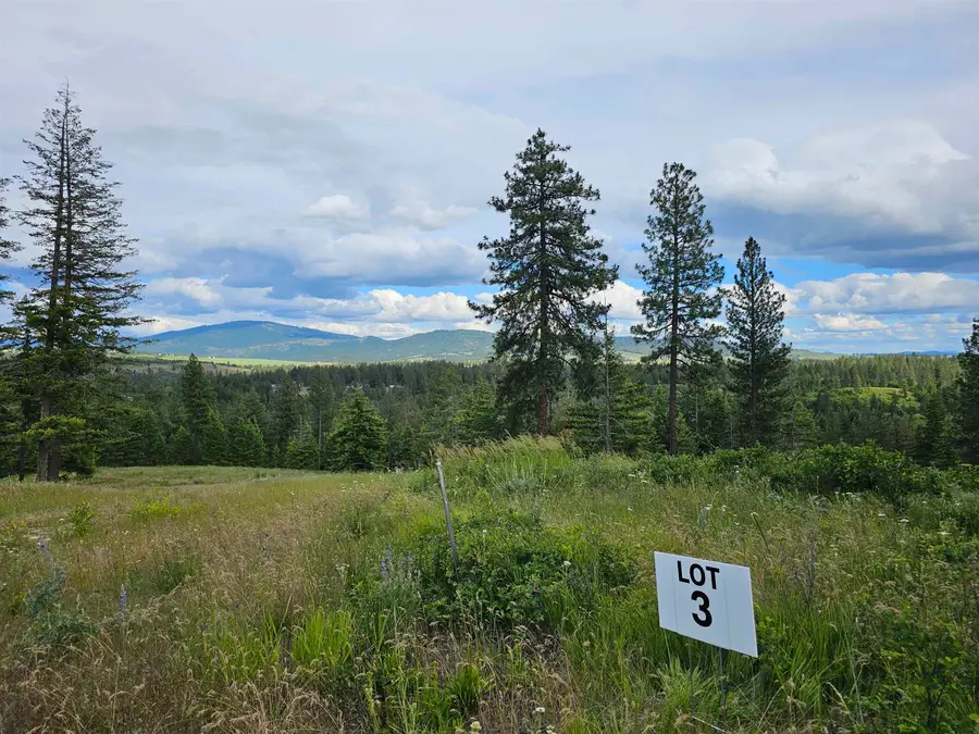 NNA S Sands Rd, Valleyford, WA 99036 - #2