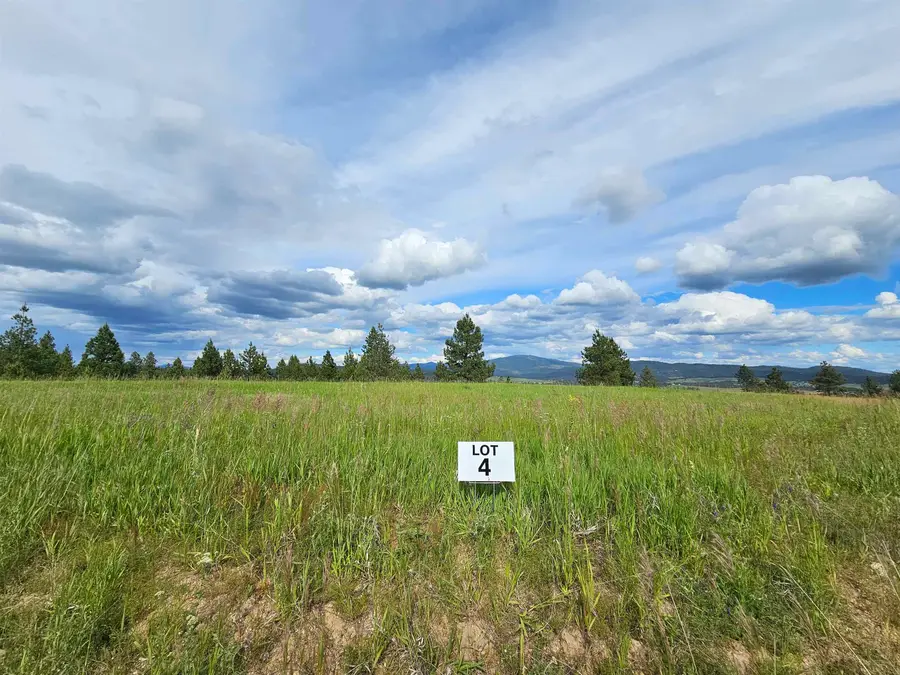 NNA S Sands Rd, Valleyford, WA 99036 - #2