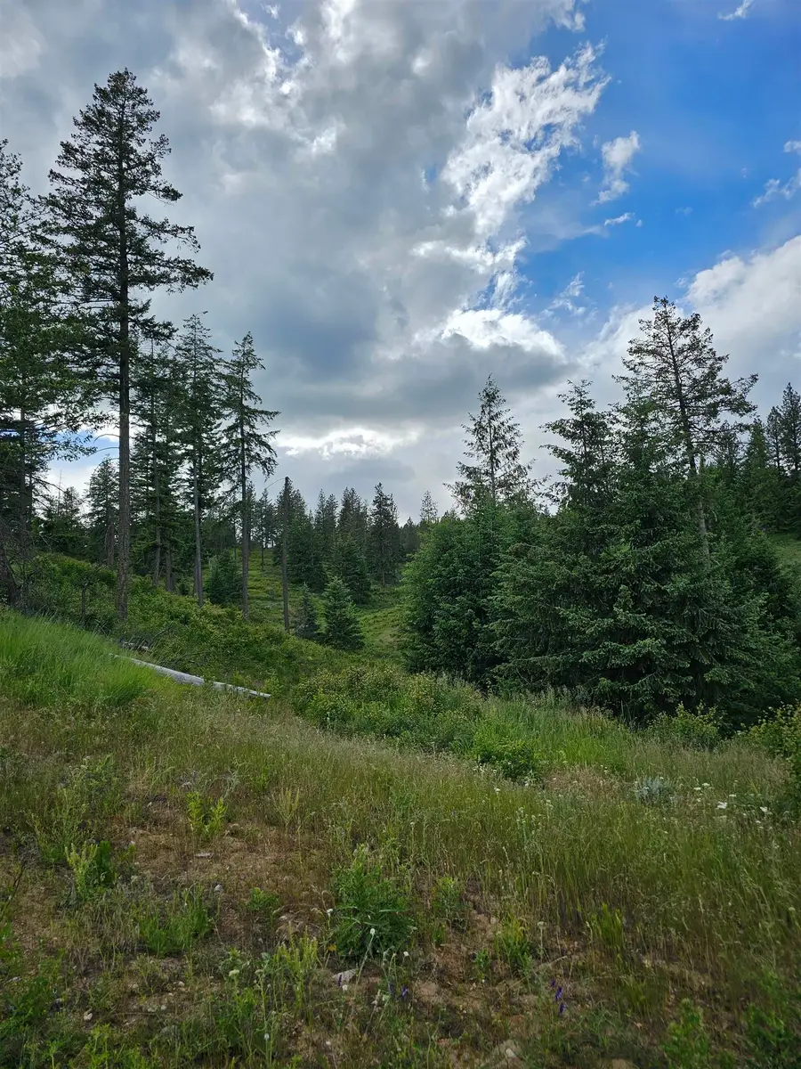 NNA S Sands Rd, Valleyford, WA 99036 - #3