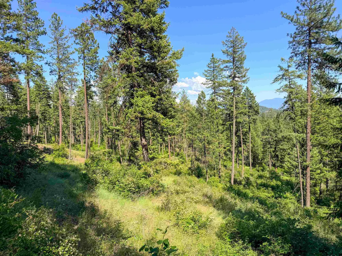 2008-TBD (E-H) Summit Valley Rd, Addy, WA 99101 - #1