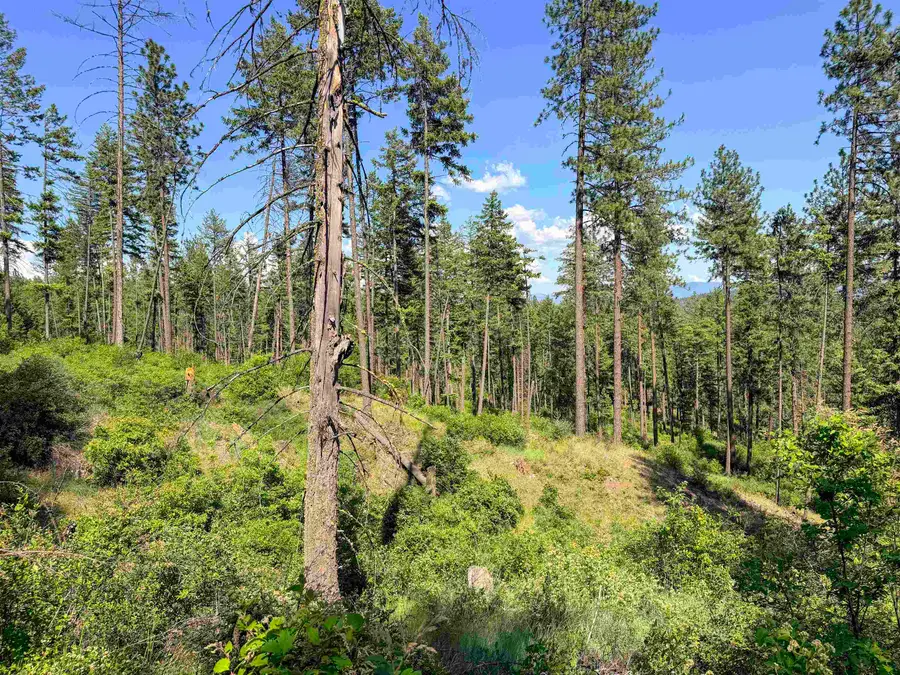 2008-TBD (E-H) Summit Valley Rd, Addy, WA 99101 - #3