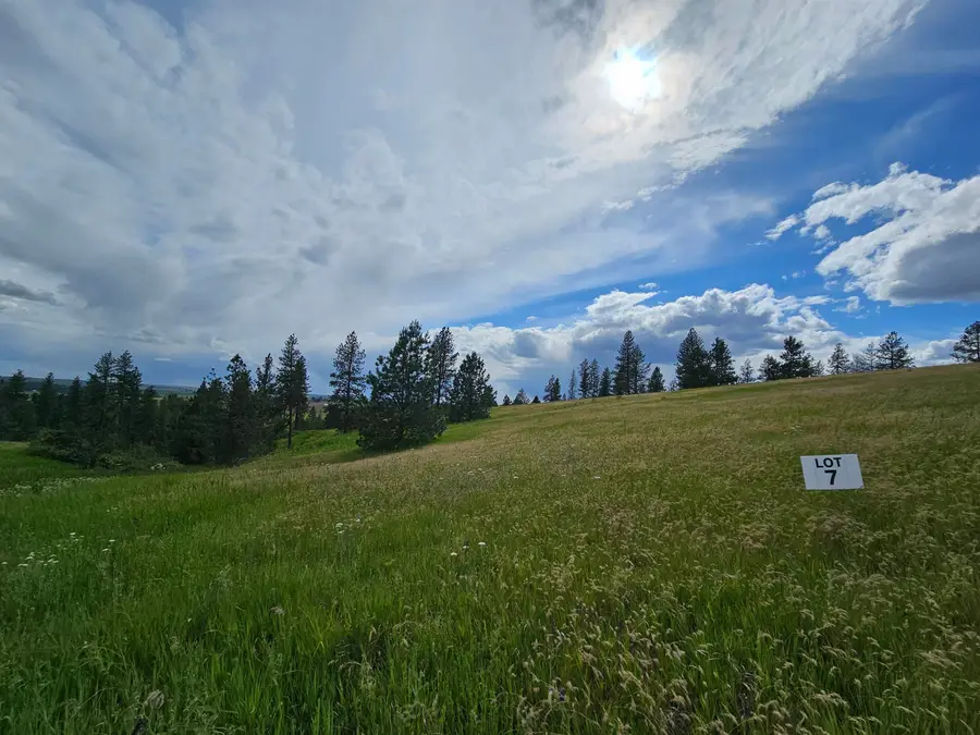 NNA S Sands Rd, Valleyford, WA 99036 - #2