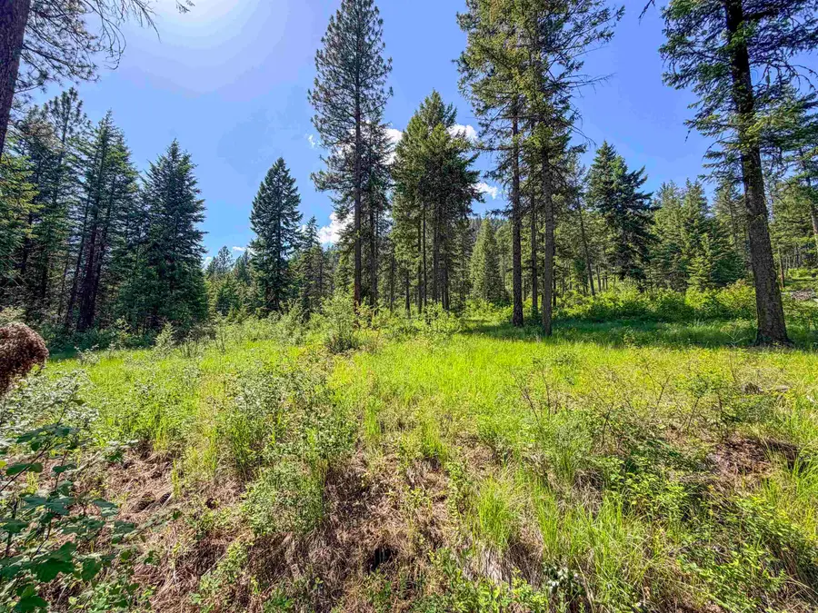 2008-TBD (K) Summit Valley Rd, Addy, WA 99101 - #3