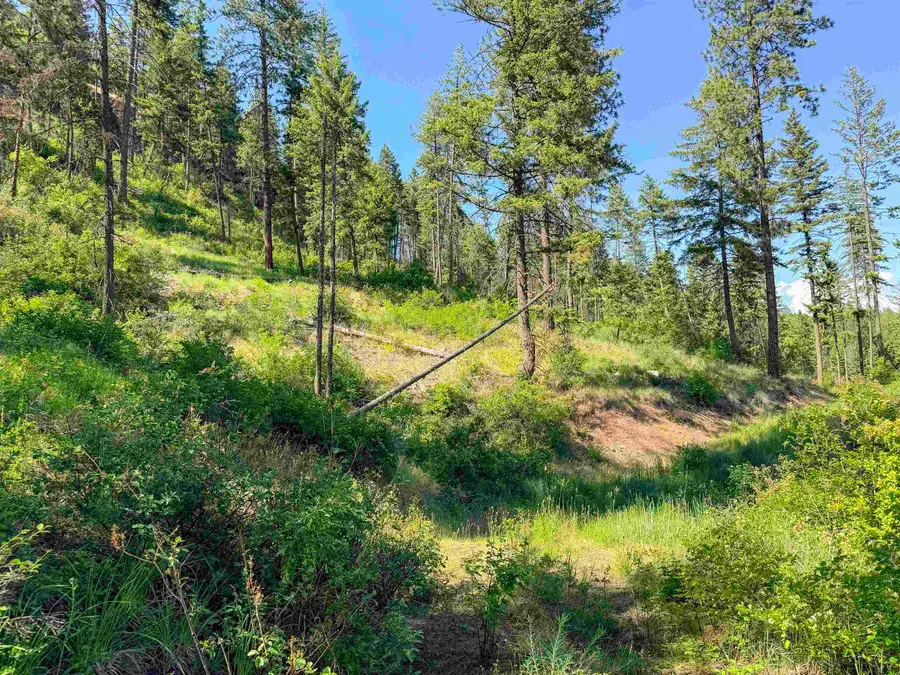 2008-TBD (A-K) Summit Valley Rd, Addy, WA 99101 - #2