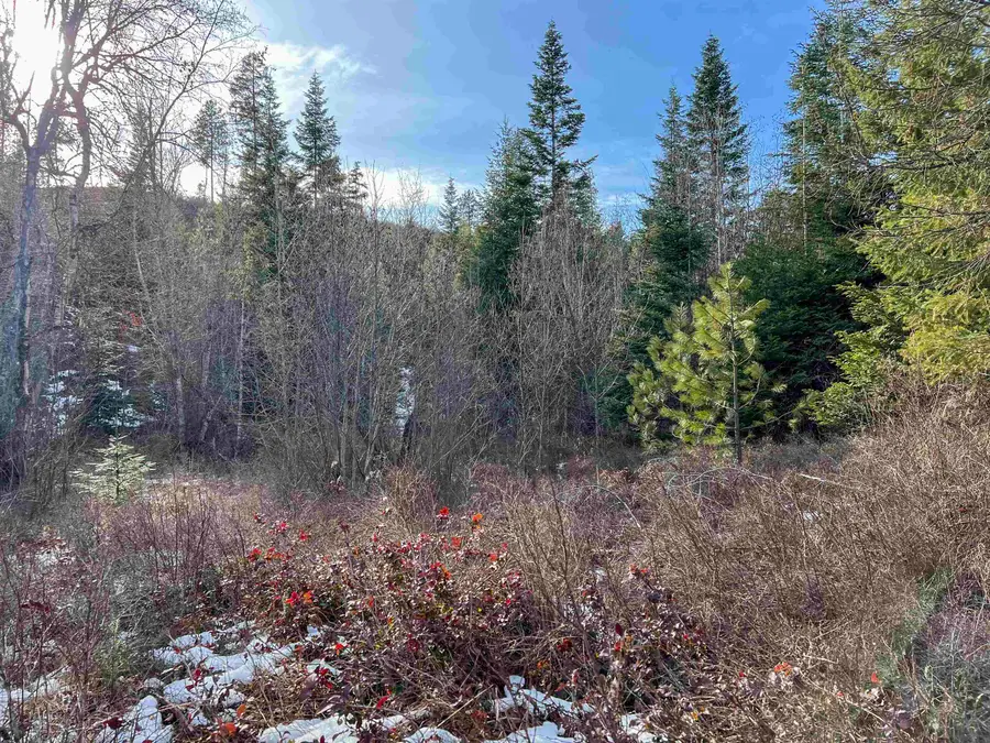 35XX Harms Way, Valley, WA 99181 - #2