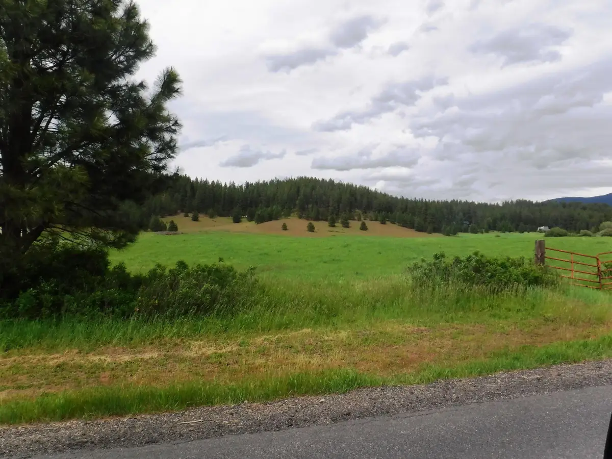XX Woolard Rd, Colbert, WA 99005 - #1