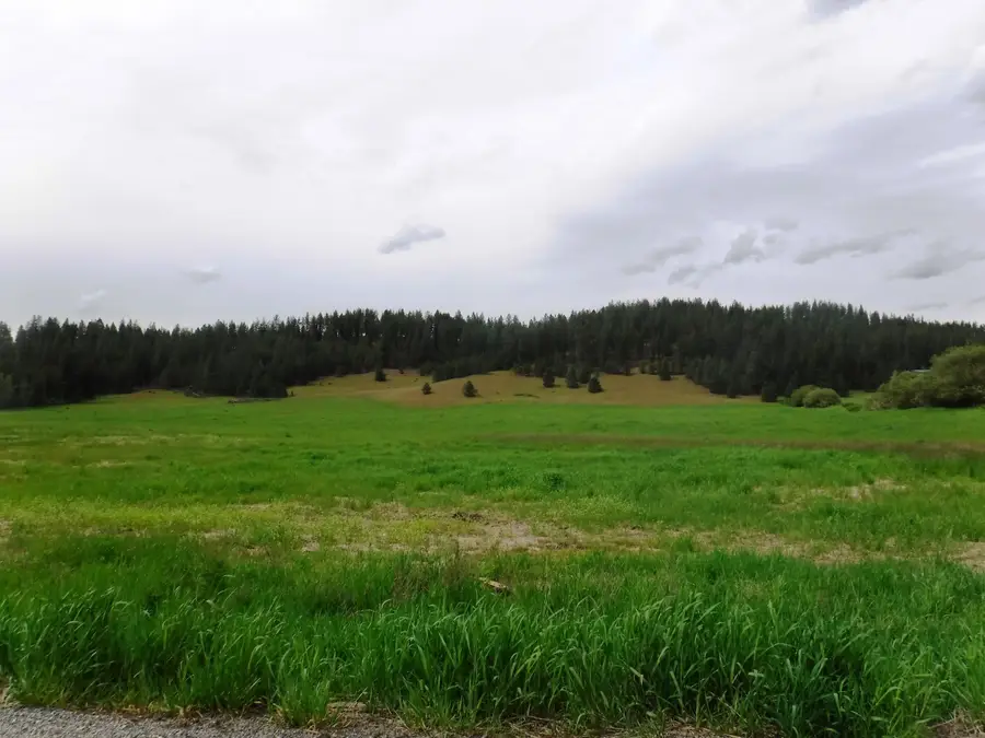 XX Woolard Rd, Colbert, WA 99005 - #3