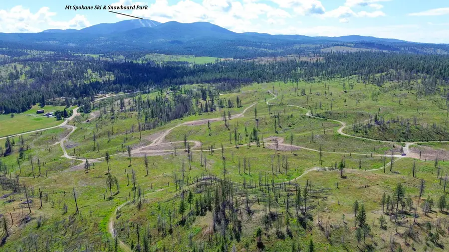 357XX N Conklin Rd, Elk, WA 99009 - #2