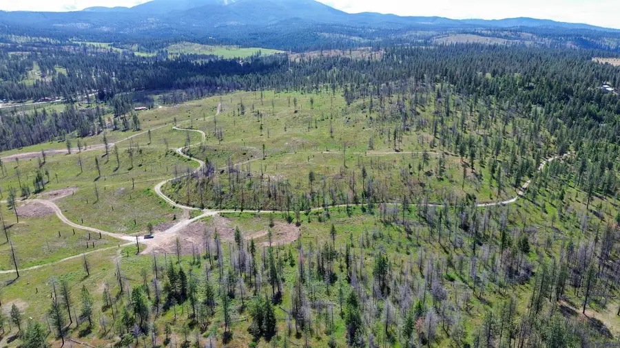357XX N Conklin Rd, Elk, WA 99009 - #3