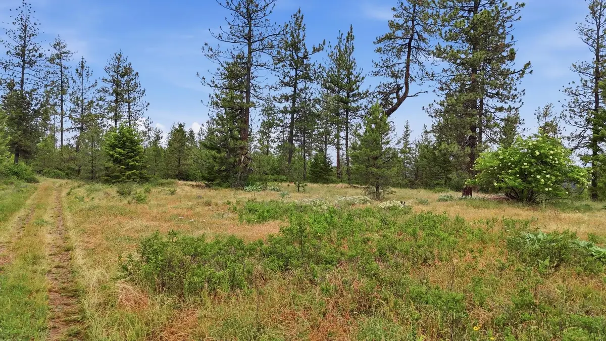 XXX W Highland Rd, Nine Mile Falls, WA 99026 - #1