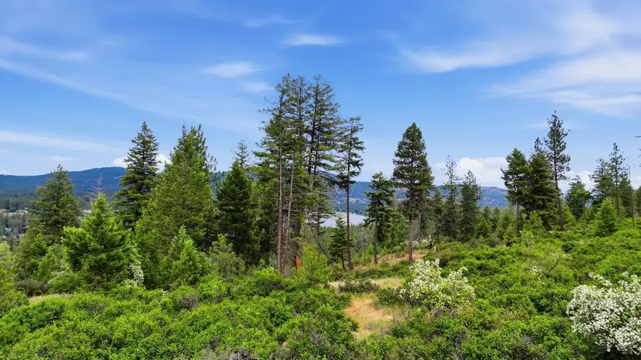 XXX W Highland Rd, Nine Mile Falls, WA 99026 - #2