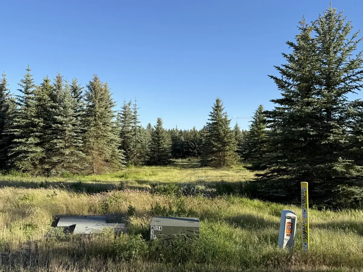 111XX S Spruce Tree Ln, Mica, WA 99023 - #1